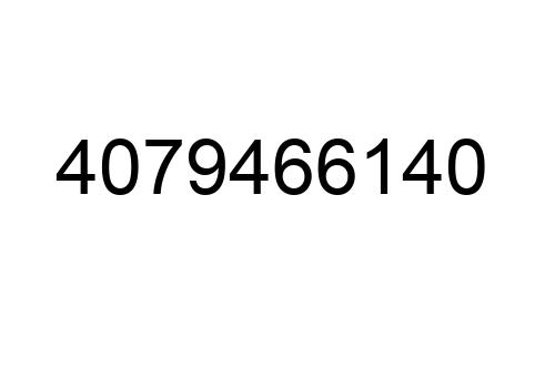 4079466140