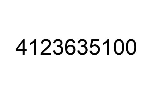 4123635100