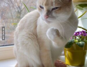 long shaggy hairstyles for fine hair over 50