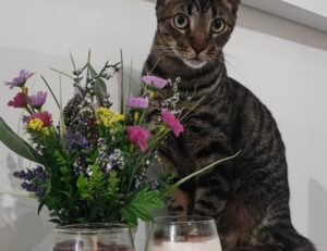 louise penny books in order gamache