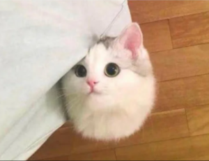 louise penny books in order written