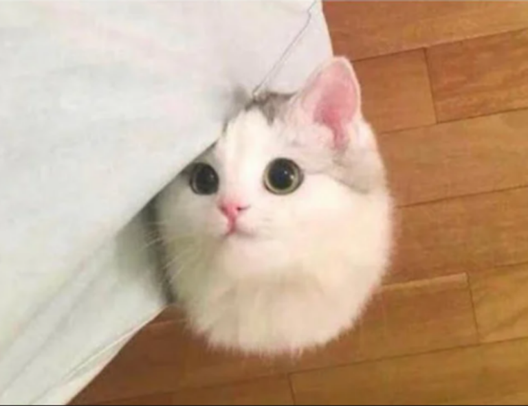 louise penny books in order written