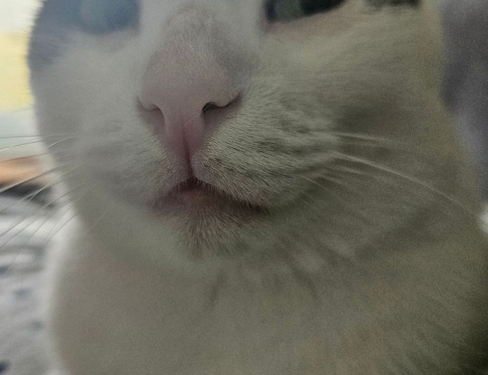 louise penny gamache novels in order