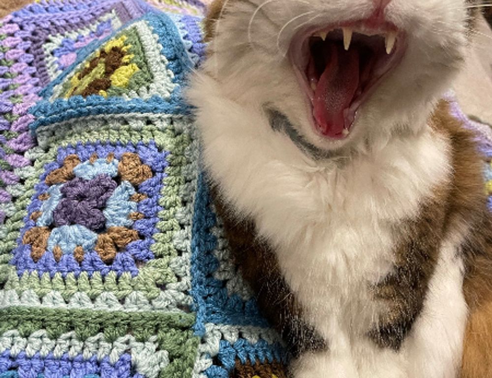 low maintenance bob haircuts for thick hair