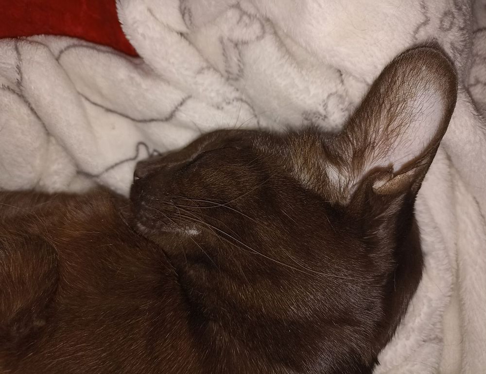 low maintenance choppy shaggy shoulder length hair with bangs