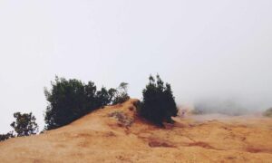 low maintenance medium bob hairstyles for over 60