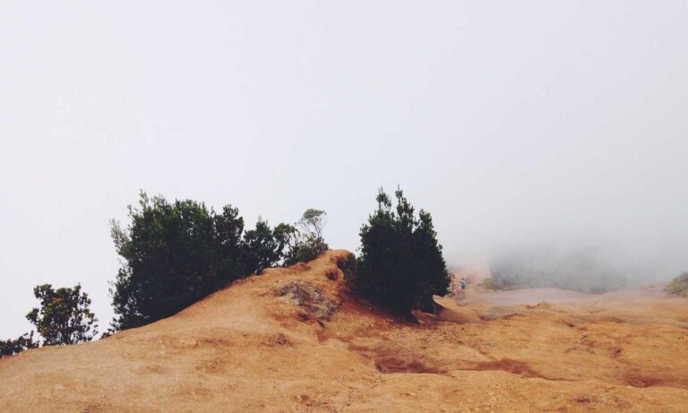 low maintenance medium bob hairstyles for over 60