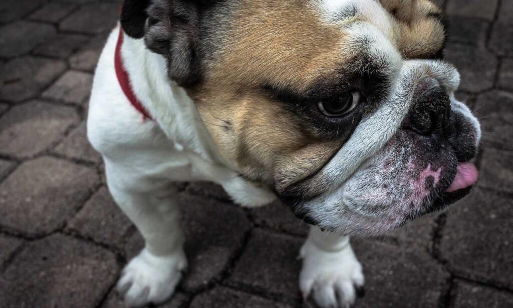 low maintenance medium length haircuts for thin hair