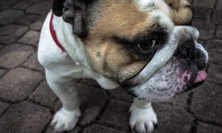 low maintenance medium length haircuts for thin hair