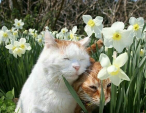 low maintenance thin layered shoulder length hair