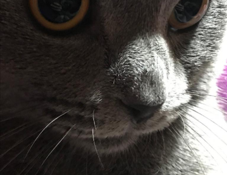 mabs brightstarcare com mobile app login