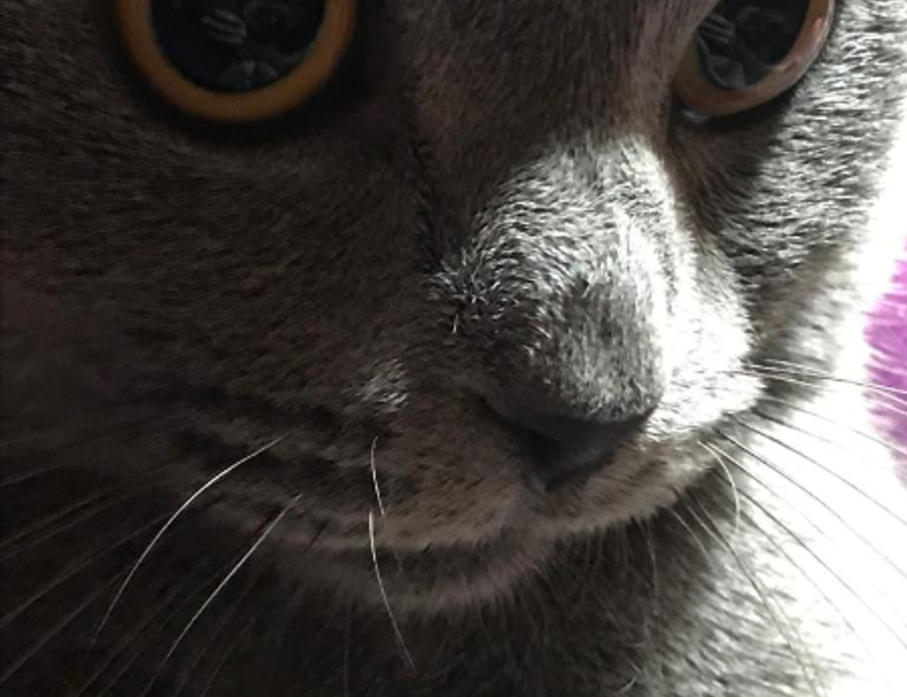 mabs brightstarcare com mobile app login