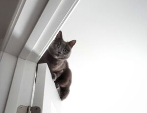 major cities in the coastal plains region of texas