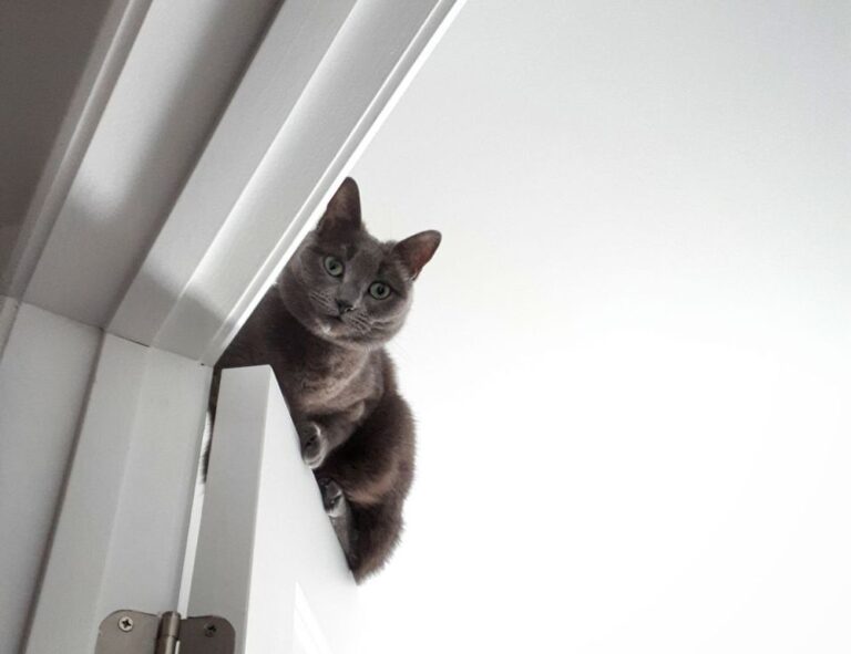 major cities in the coastal plains region of texas