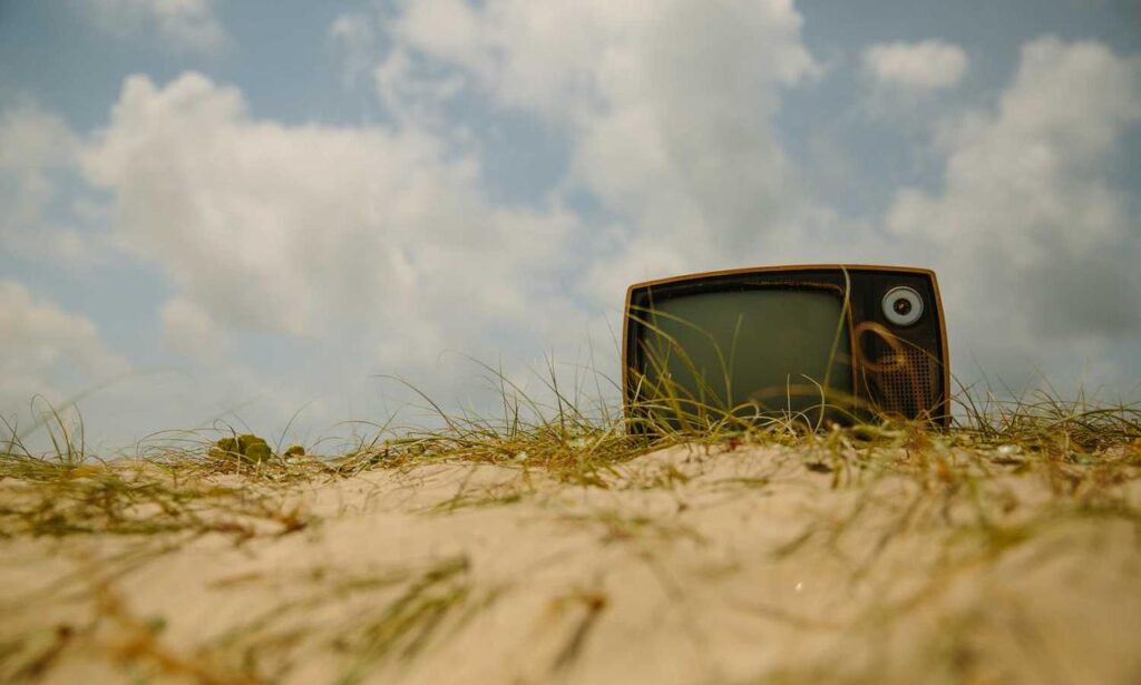 market gardening definition ap human geography