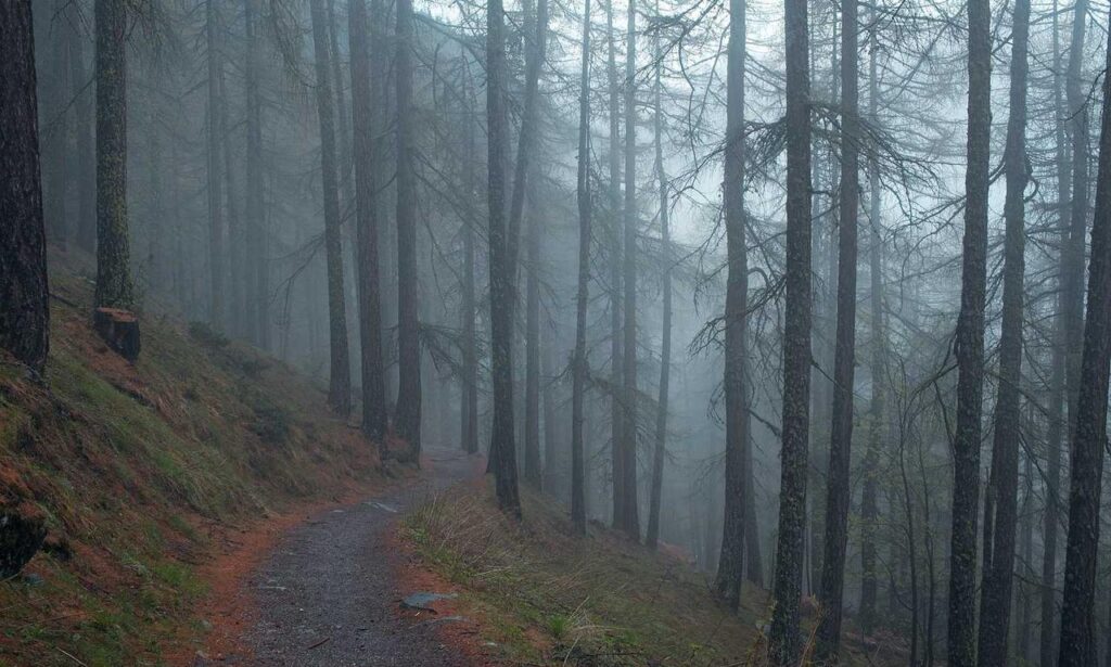 marsbet your premier destination for casino gaming