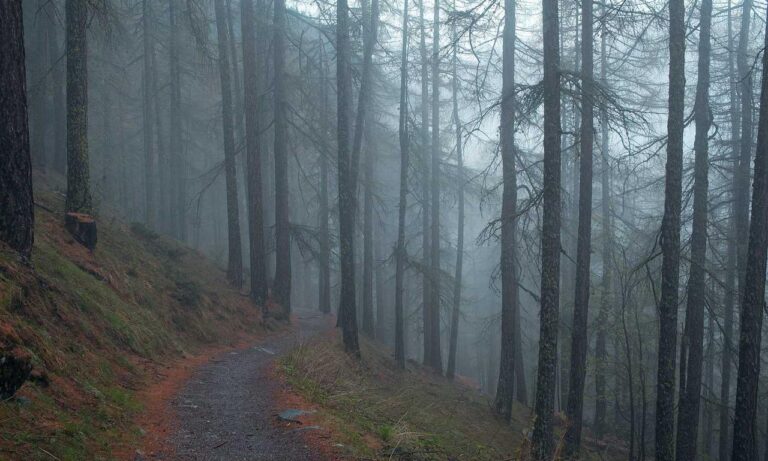 marsbet your premier destination for casino gaming