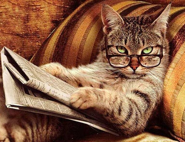 medium hairstyles for thin hair over 60