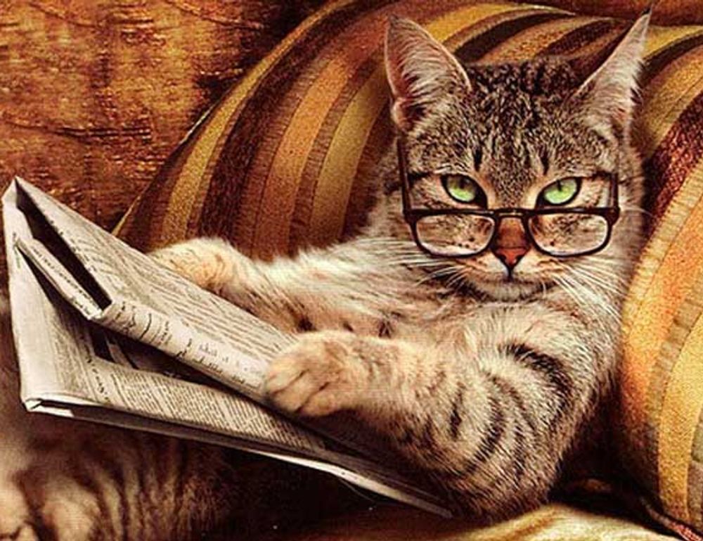 medium hairstyles for thin hair over 60