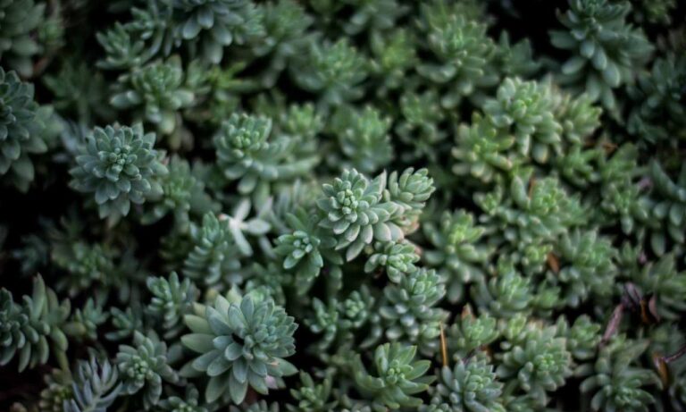 medium layered hairstyles for fine hair