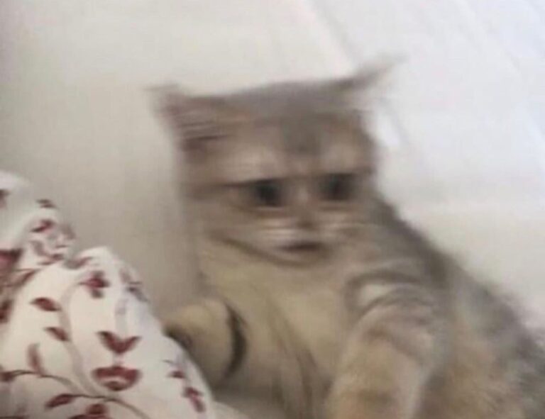 medium length hairstyles for fat faces and double chins