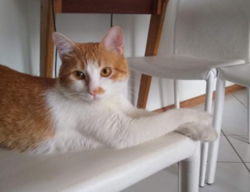 medium length hairstyles for fine hair over 60