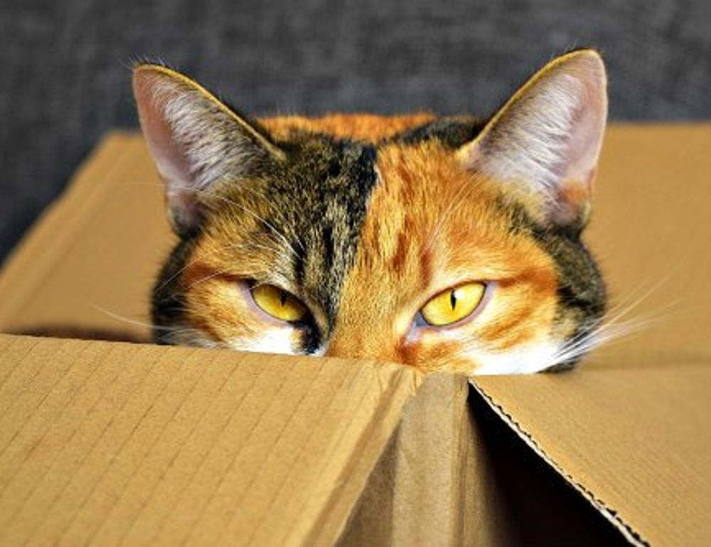 medium length hairstyles for fine thin hair over 50