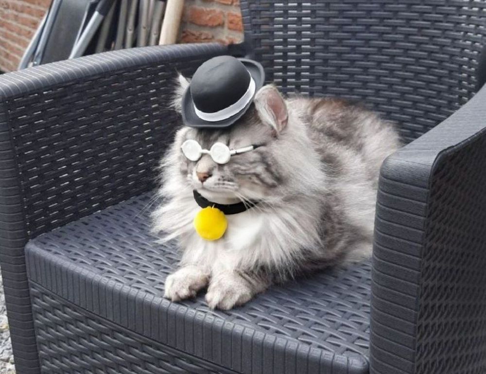 medium length hairstyles for thin hair over 60