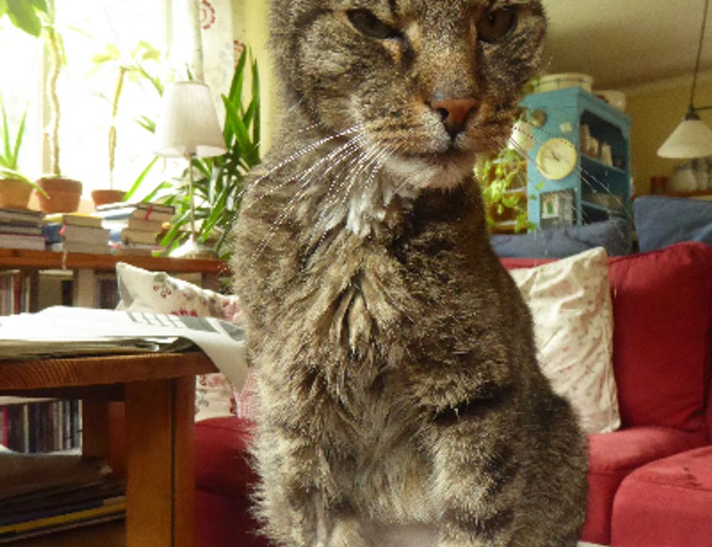 medium length volumizing haircuts for thin hair