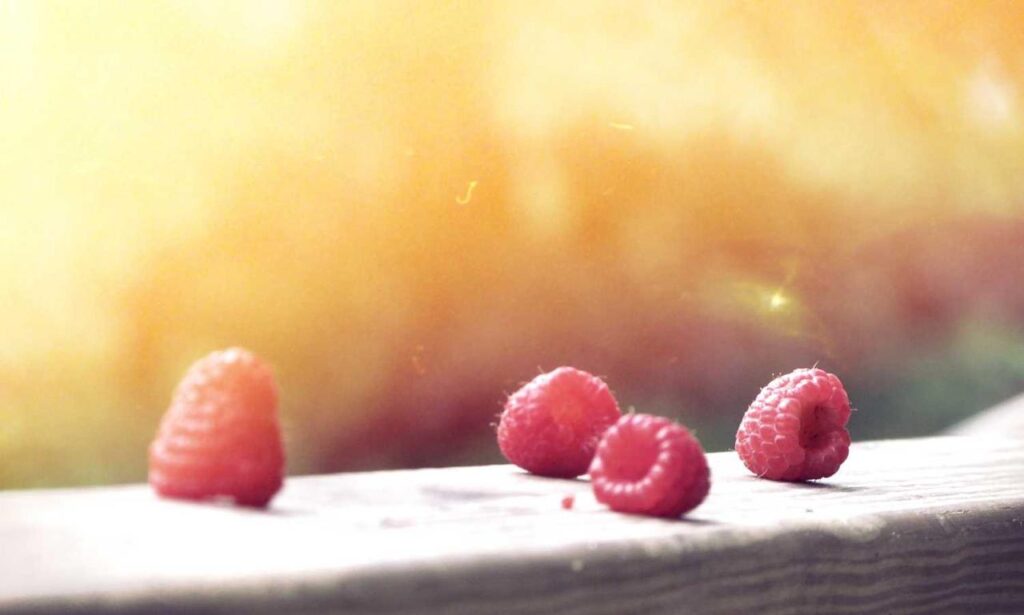 method body wash good or bad