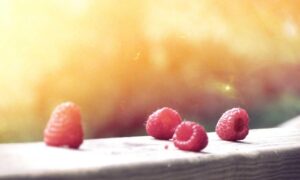 method body wash good or bad