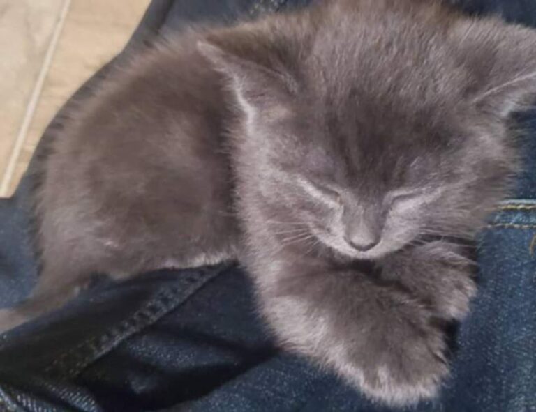 mid length low maintenance choppy shaggy shoulder length hair