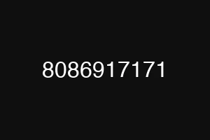 8086917171