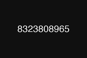 8323808965