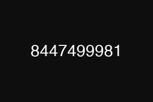 8447499981