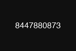 8447880873