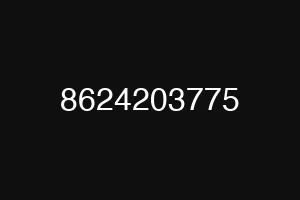 8624203775