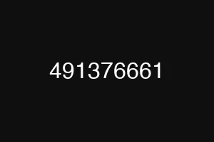 491376661