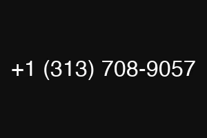 +1 (313) 708-9057