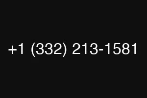+1 (332) 213-1581