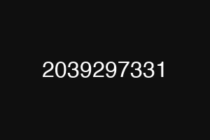 2039297331