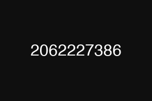 2062227386